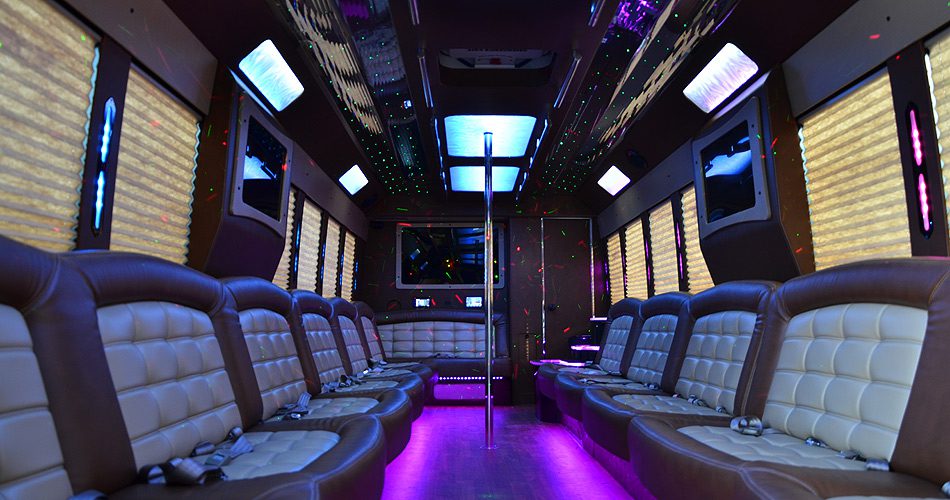 35 Passenger Party Bus rental