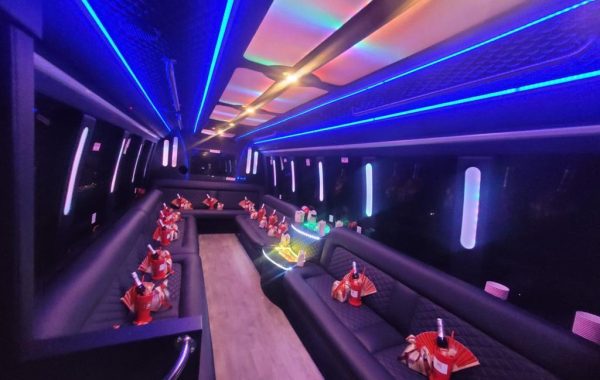 Party Bus for 20 new edition