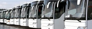 36 Passenger Bus rental