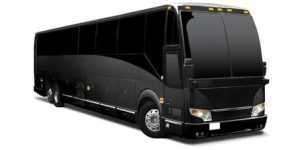 What types of buses are available for rental in Queens?