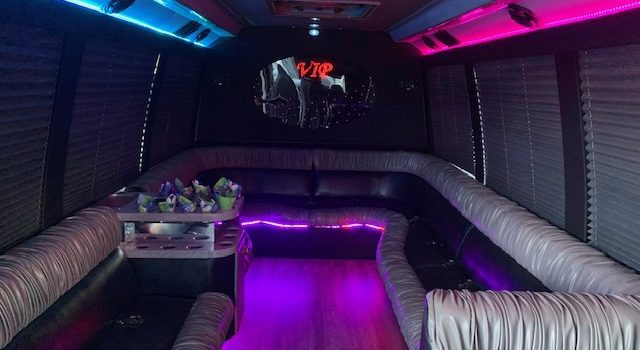 Limousine For 20 Passengers