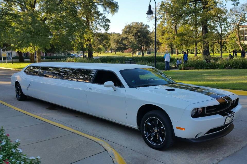 Limo Rental Arlington TX