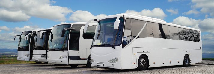 12 Passenger Charter Bus Rental