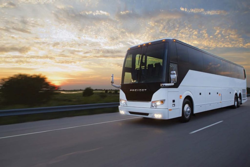 81 Passenger Charter Bus