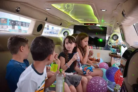 13th Birthday Limo Party Ideas