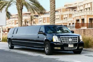 Livermore Limo Rental