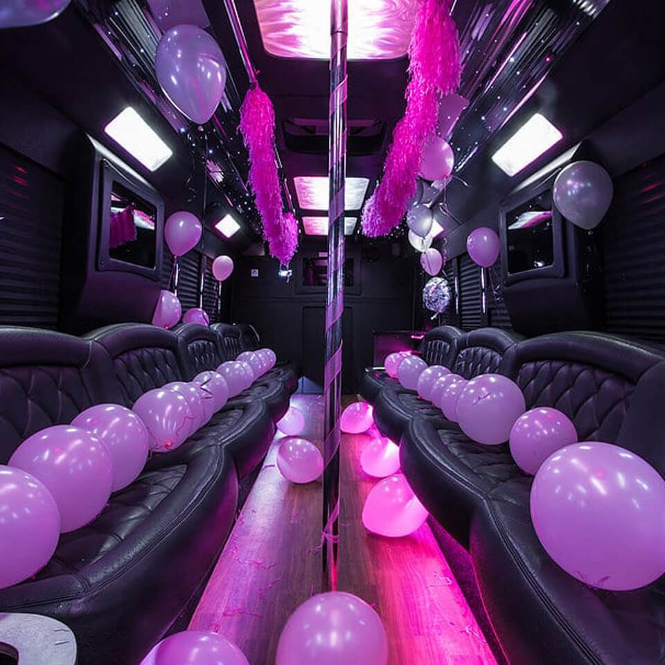 limo birthday party ideas