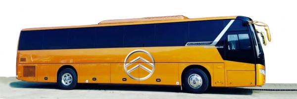 31 Passenger Mini Coach Seattle Express Charter Bus