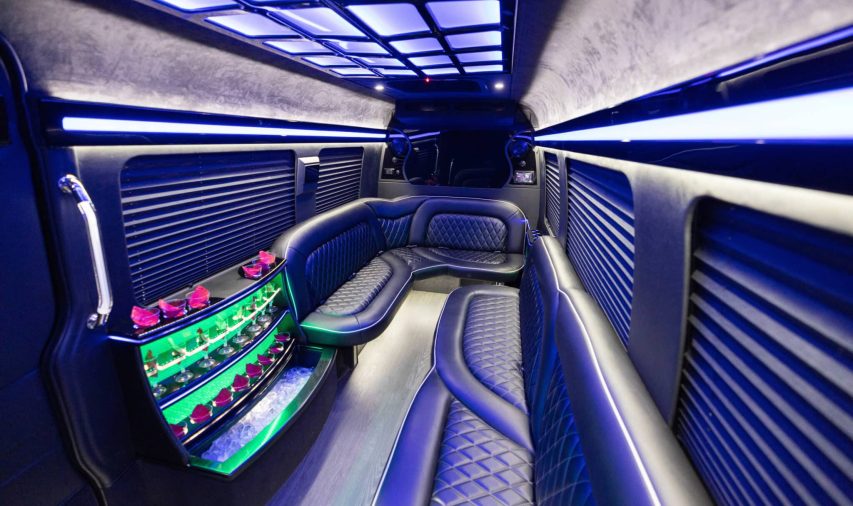 14 PASSENGER SPRINTER LIMOUSINE 4