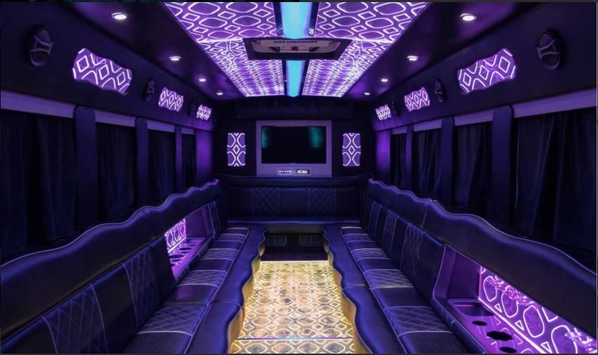 Amelia, number 7 display picture