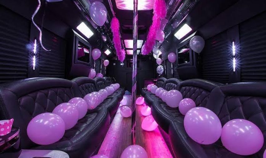 Limo Party Bus for 25 with Pole
