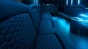 THE TIFFANY 26 PARTY BUS 5